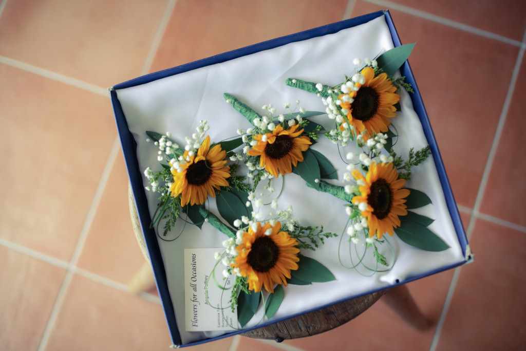 Wedding photographers in Somerset, Wedding photography, wedding photographer.