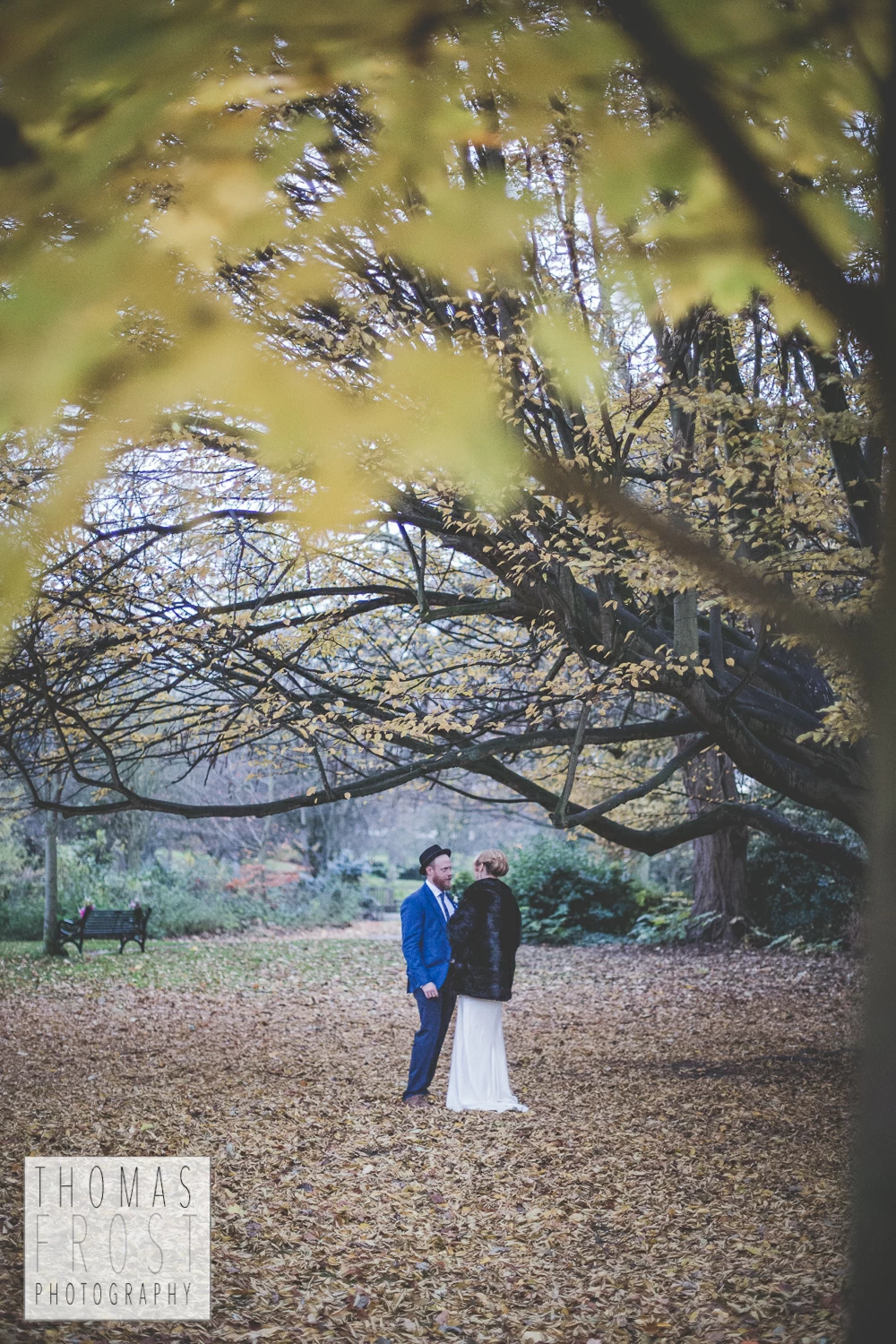 Just the couple under a tree at Prittlewell Priory Wedding, Southend-on-sea.