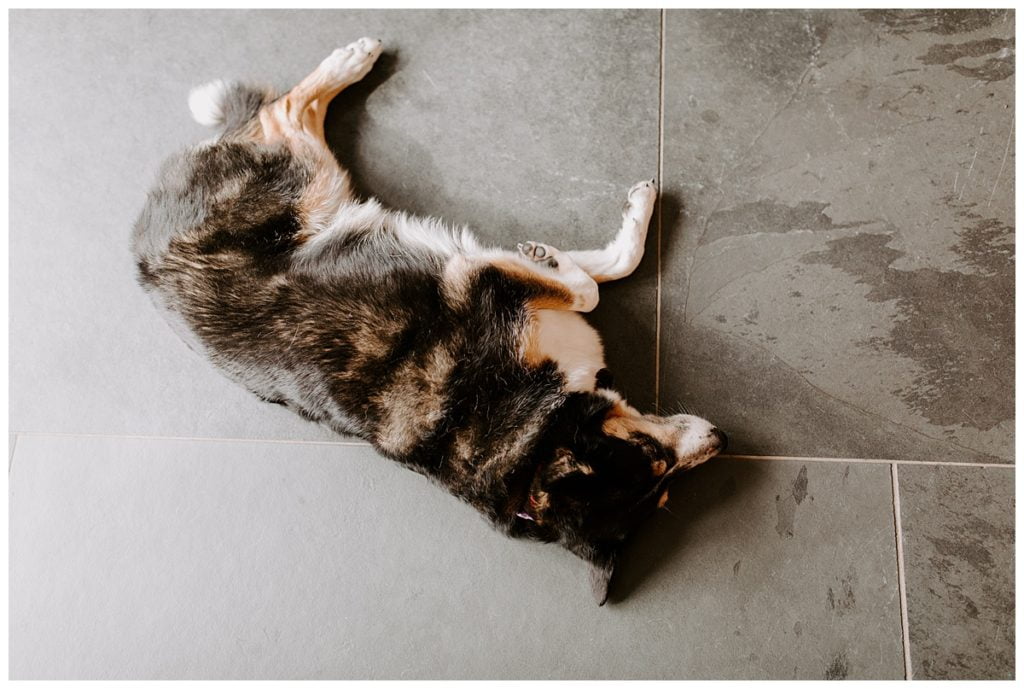 polpier-and-penpol-house-wedding-Photography