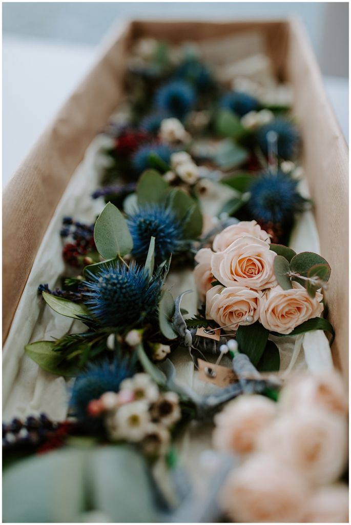 Trevenna Barn Photography flowers