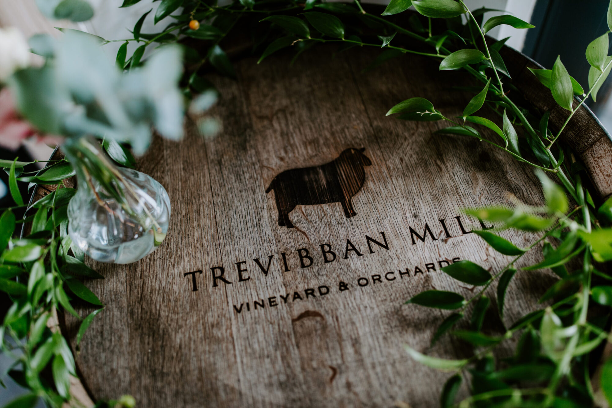 Trevibban Mill Wedding logo