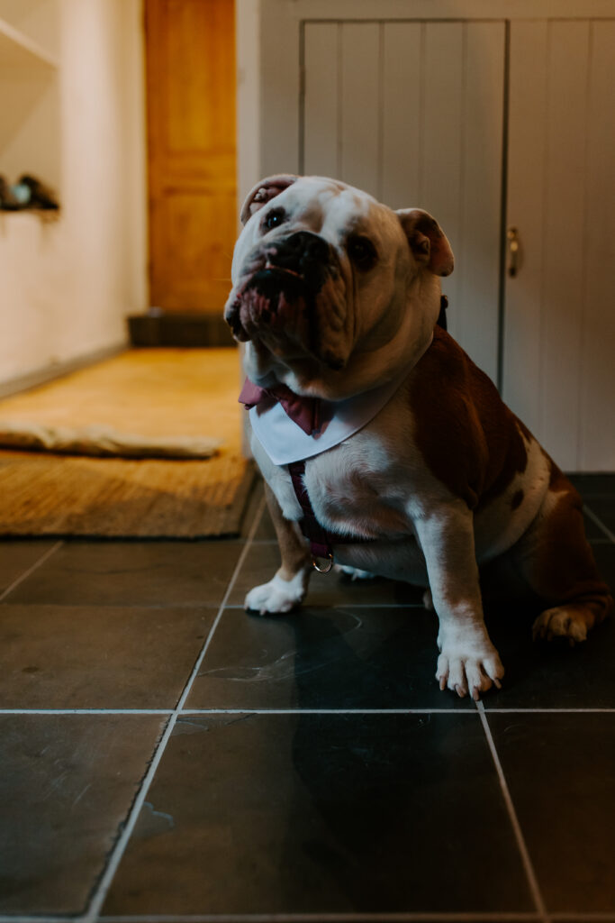 mum and dad are getting married in Cornwall and I'm the only guest