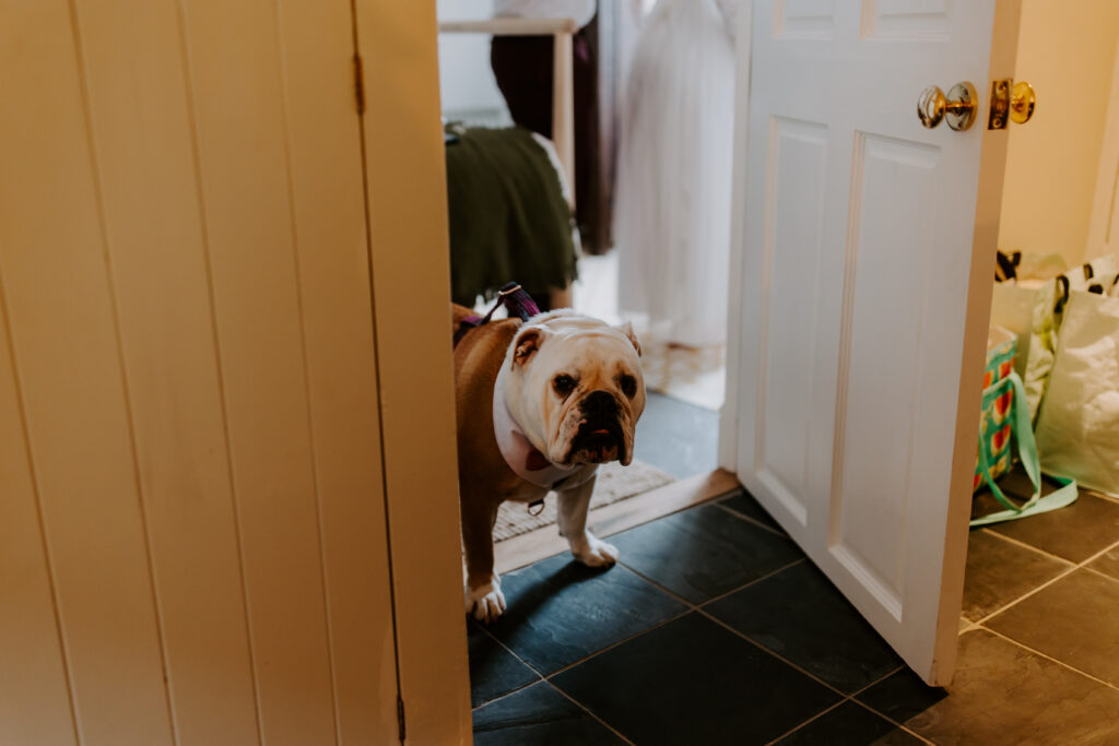 Are we getting married now.