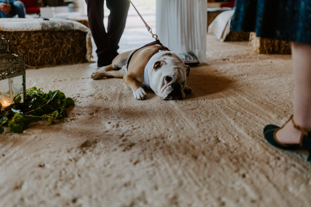 hurry up and get married mum and dad so we can go to the beach
